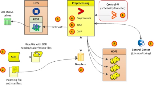 caip_ingestion_overview-preproc_simpler